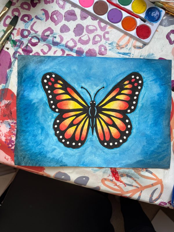 Majestic Butterfly Watercolour Art Kit